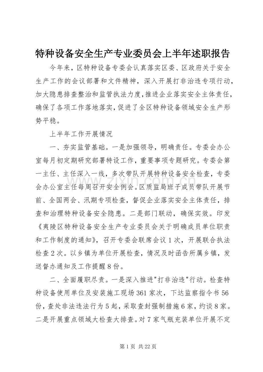 特种设备安全生产专业委员会上半年述职报告.docx_第1页