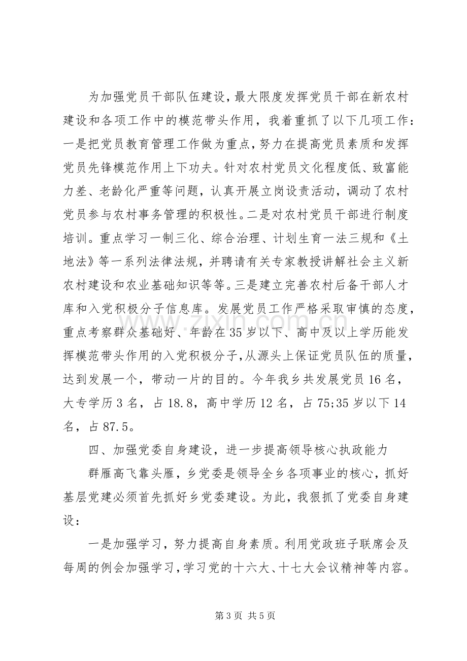 乡镇党委书记述职报告 (40).docx_第3页