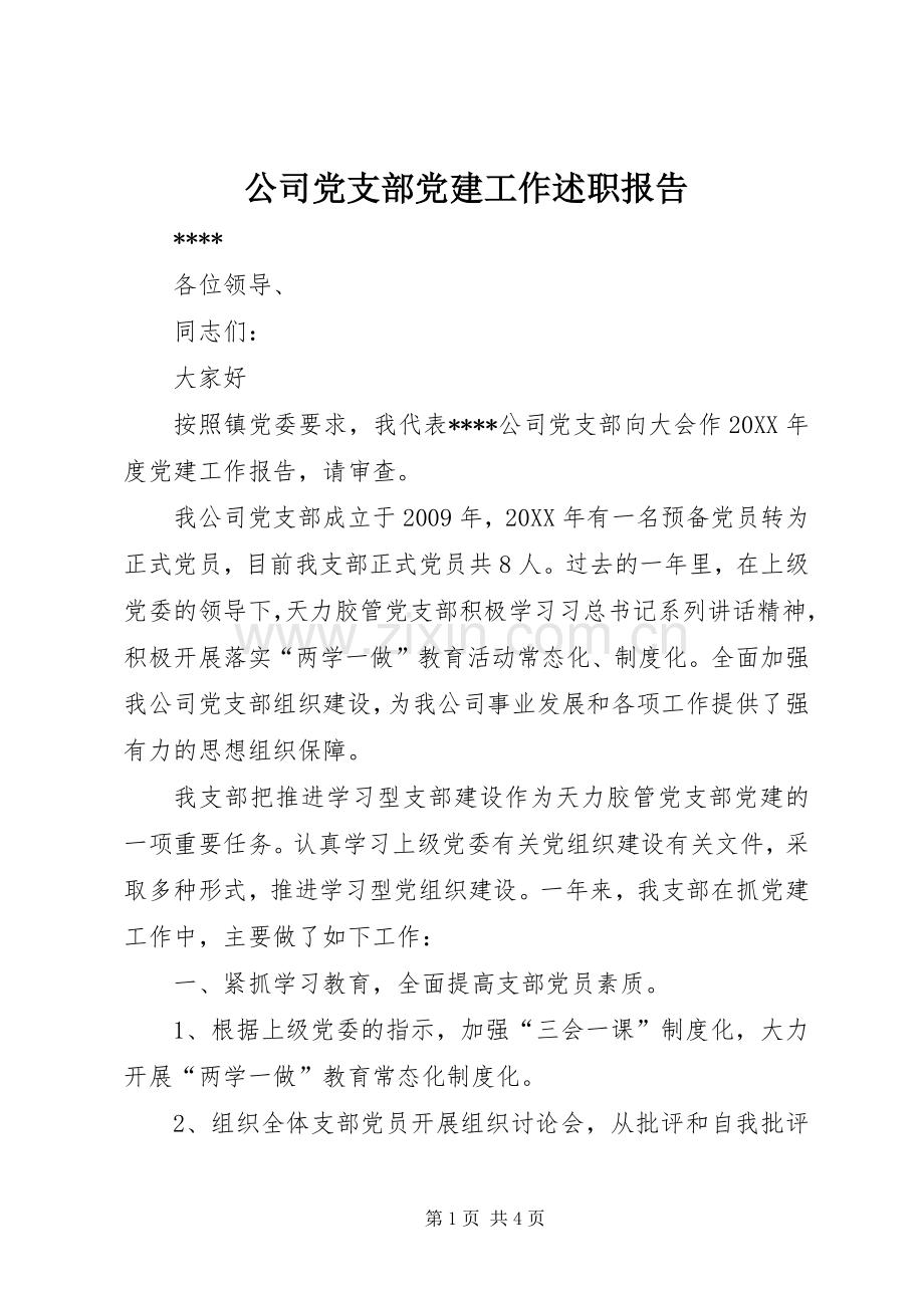 公司党支部党建工作述职报告.docx_第1页