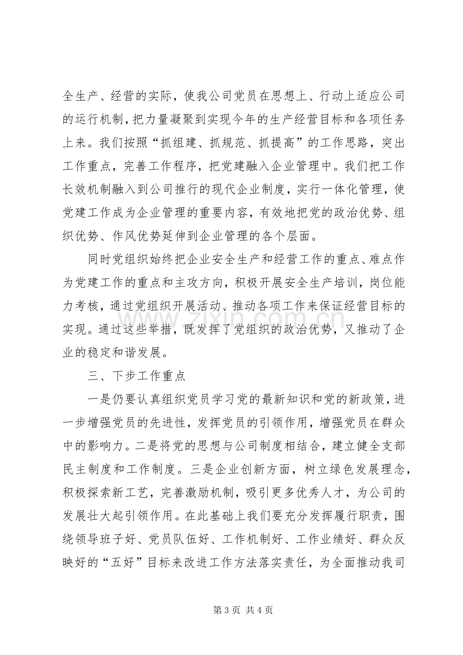 公司党支部党建工作述职报告.docx_第3页