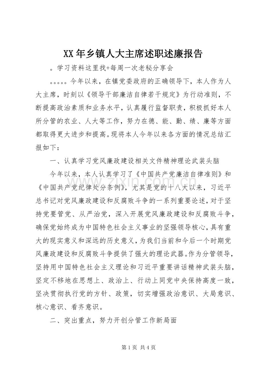 XX年乡镇人大主席述职述廉报告.docx_第1页