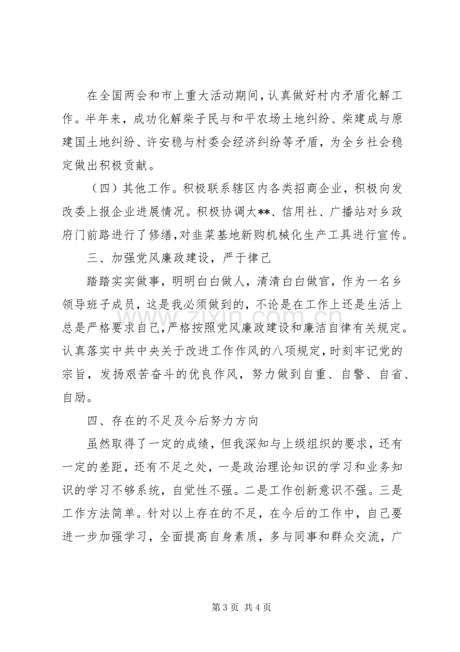 副乡长述职述廉工作报告.docx_第3页