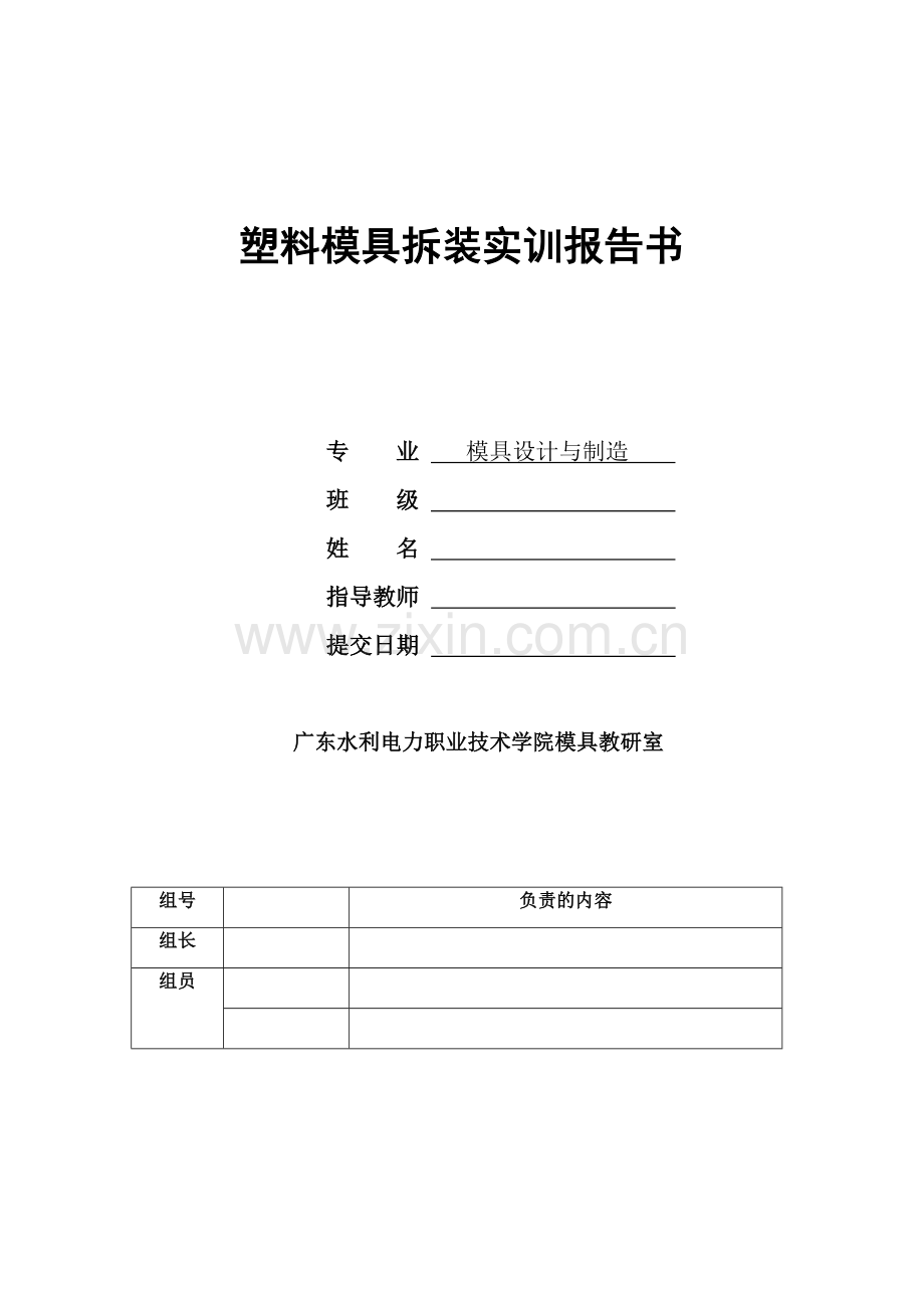 塑料模具拆装报告.docx_第1页