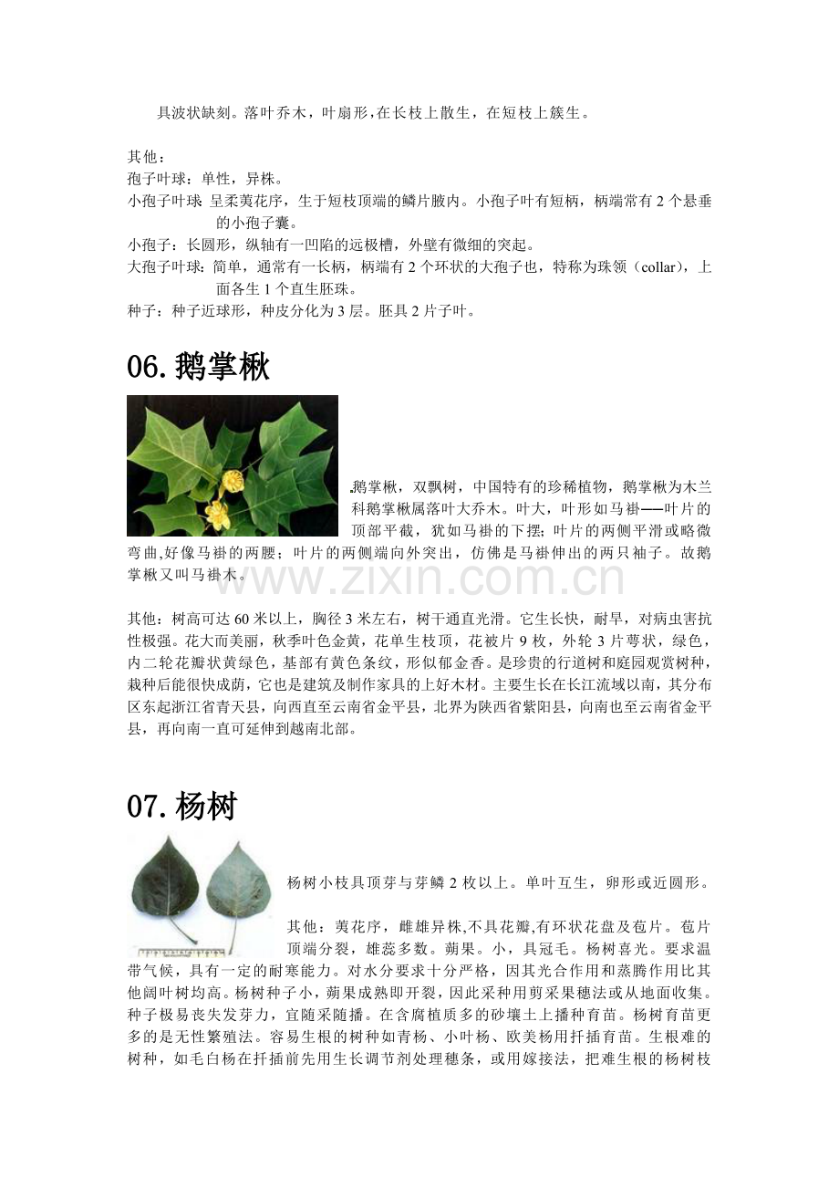 园林植物学观察植物实验感悟.docx_第3页