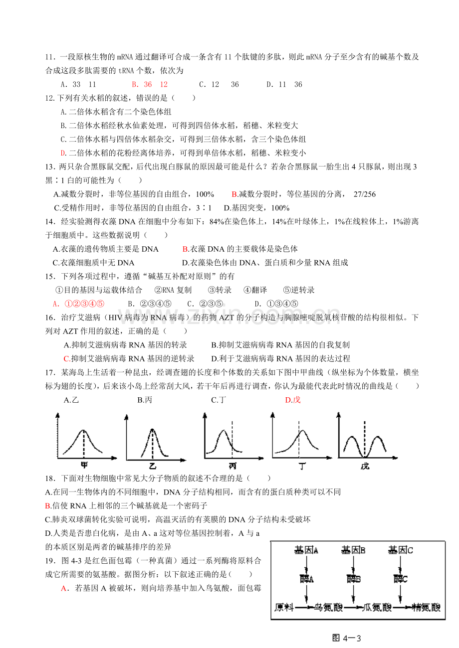 必修二《遗传与进化》生物综合测试题.docx_第2页