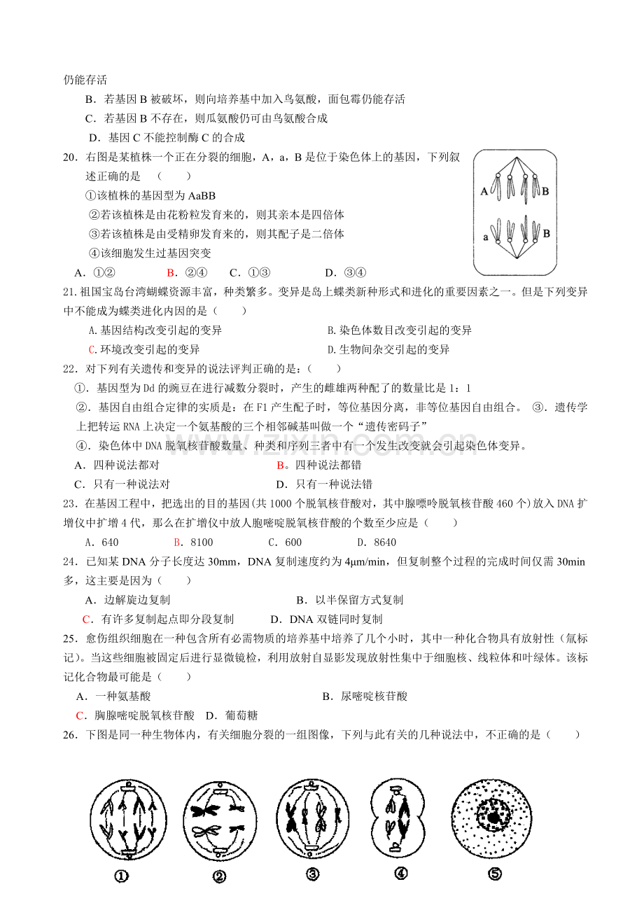 必修二《遗传与进化》生物综合测试题.docx_第3页