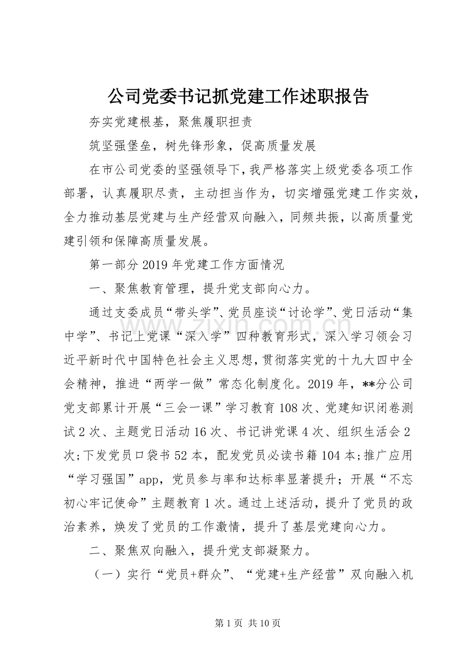 公司党委书记抓党建工作述职报告.docx_第1页