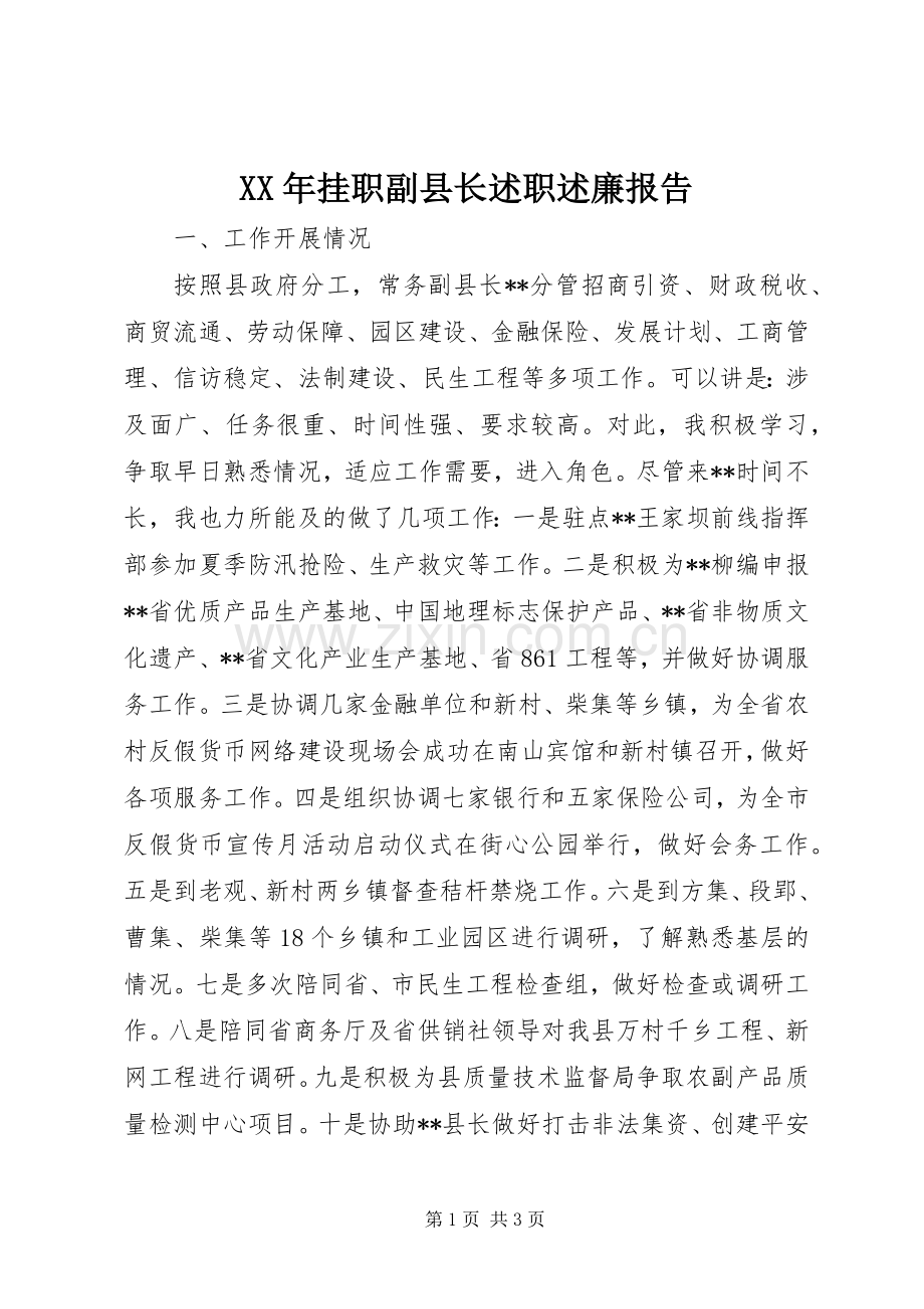 XX年挂职副县长述职述廉报告.docx_第1页