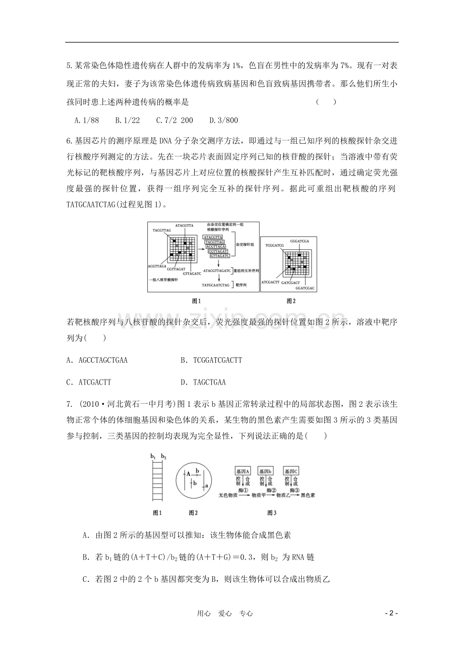 高三生物二轮专题模块练习36-新人教版必修2.doc_第2页