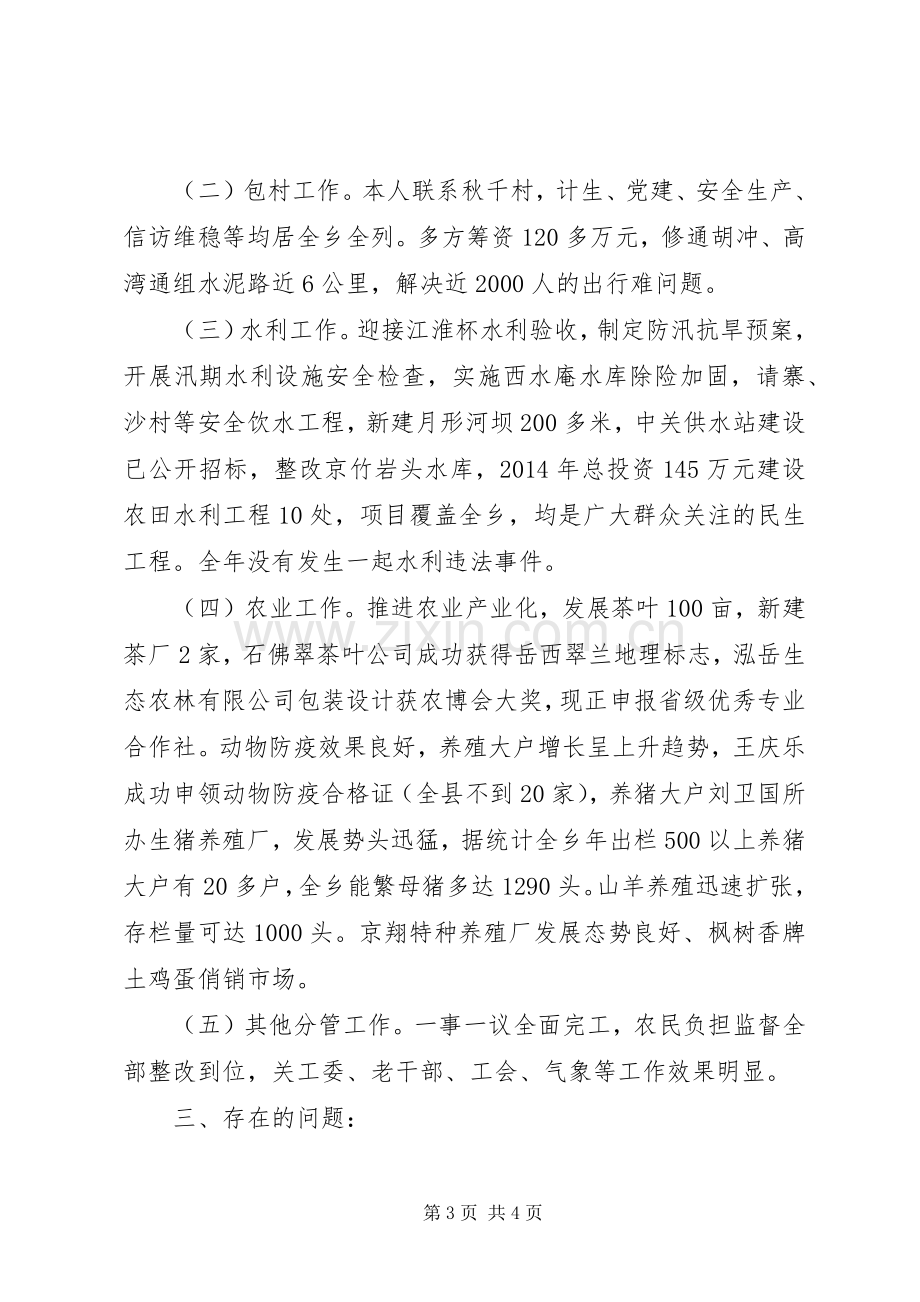 乡副乡长个人述职报告.docx_第3页