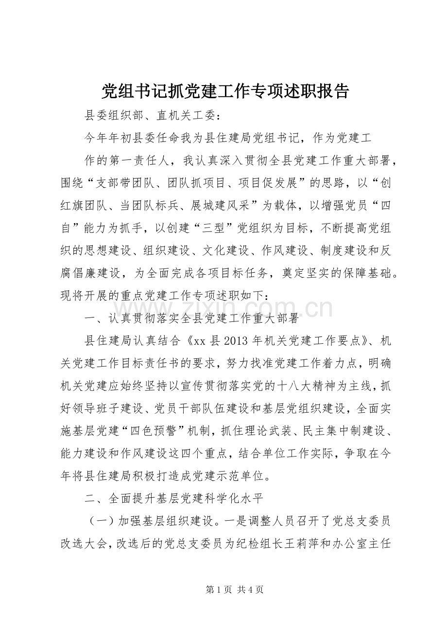 党组书记抓党建工作专项述职报告.docx_第1页