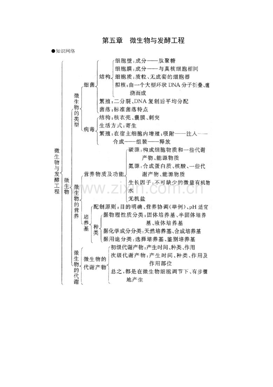 微生物与发酵工程.docx_第1页