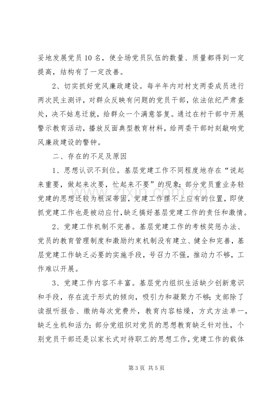 村支书履行党建责任制述职报告.docx_第3页