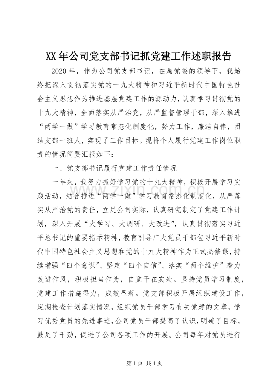 XX年公司党支部书记抓党建工作述职报告.docx_第1页