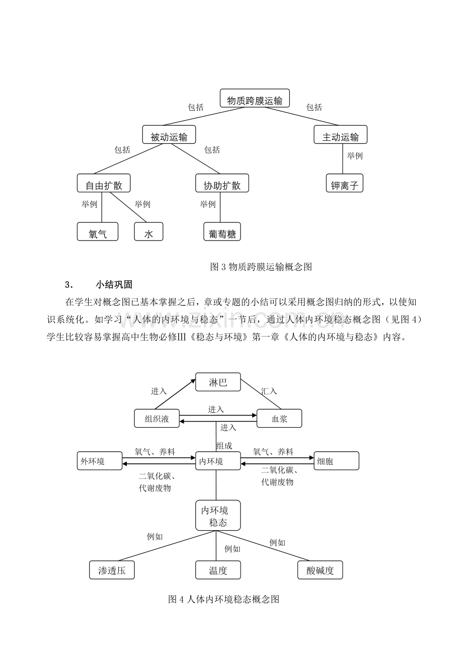 尝试在高中生物教学中有效地运用概念图.docx_第3页