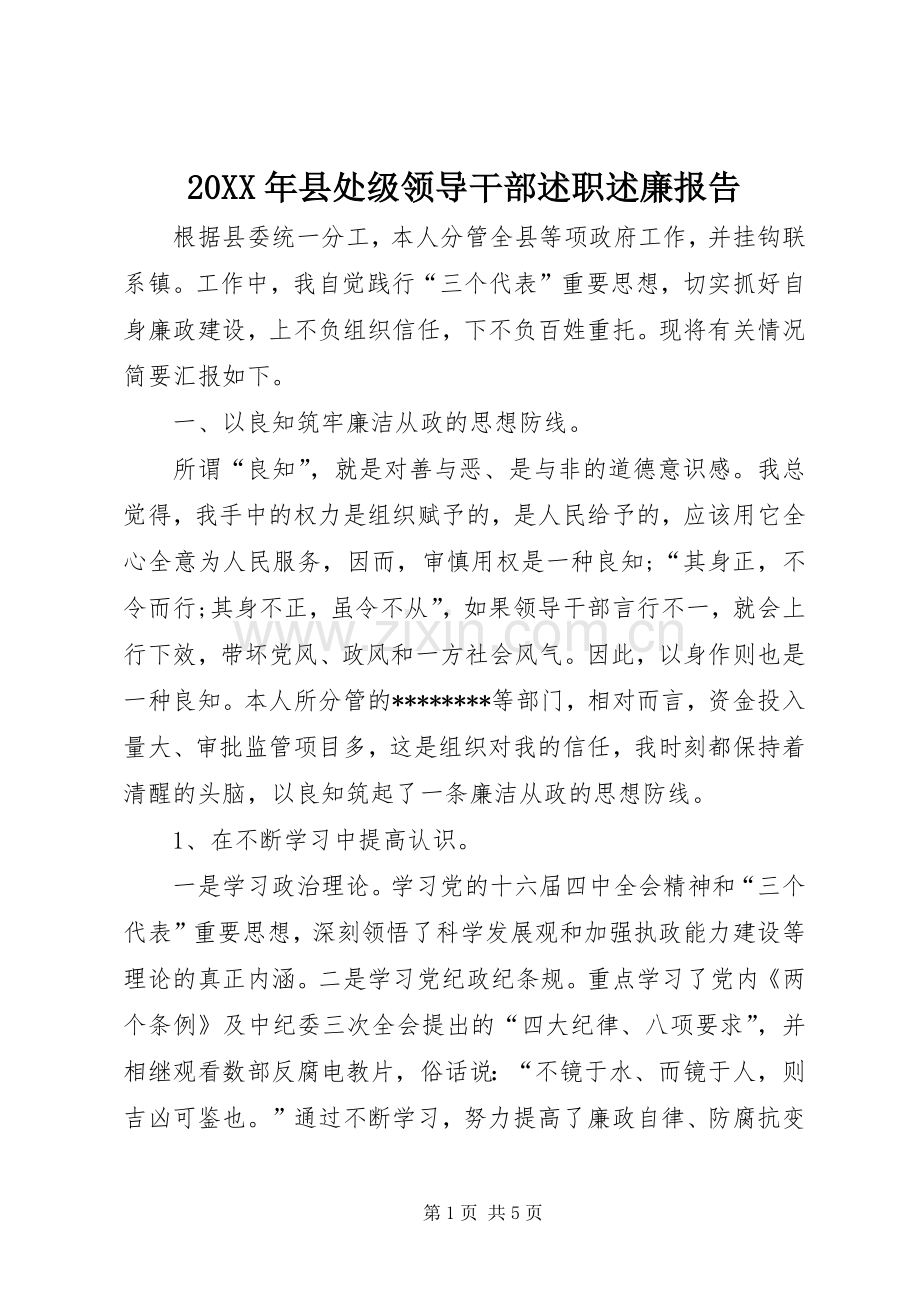 20XX年县处级领导干部述职述廉报告.docx_第1页