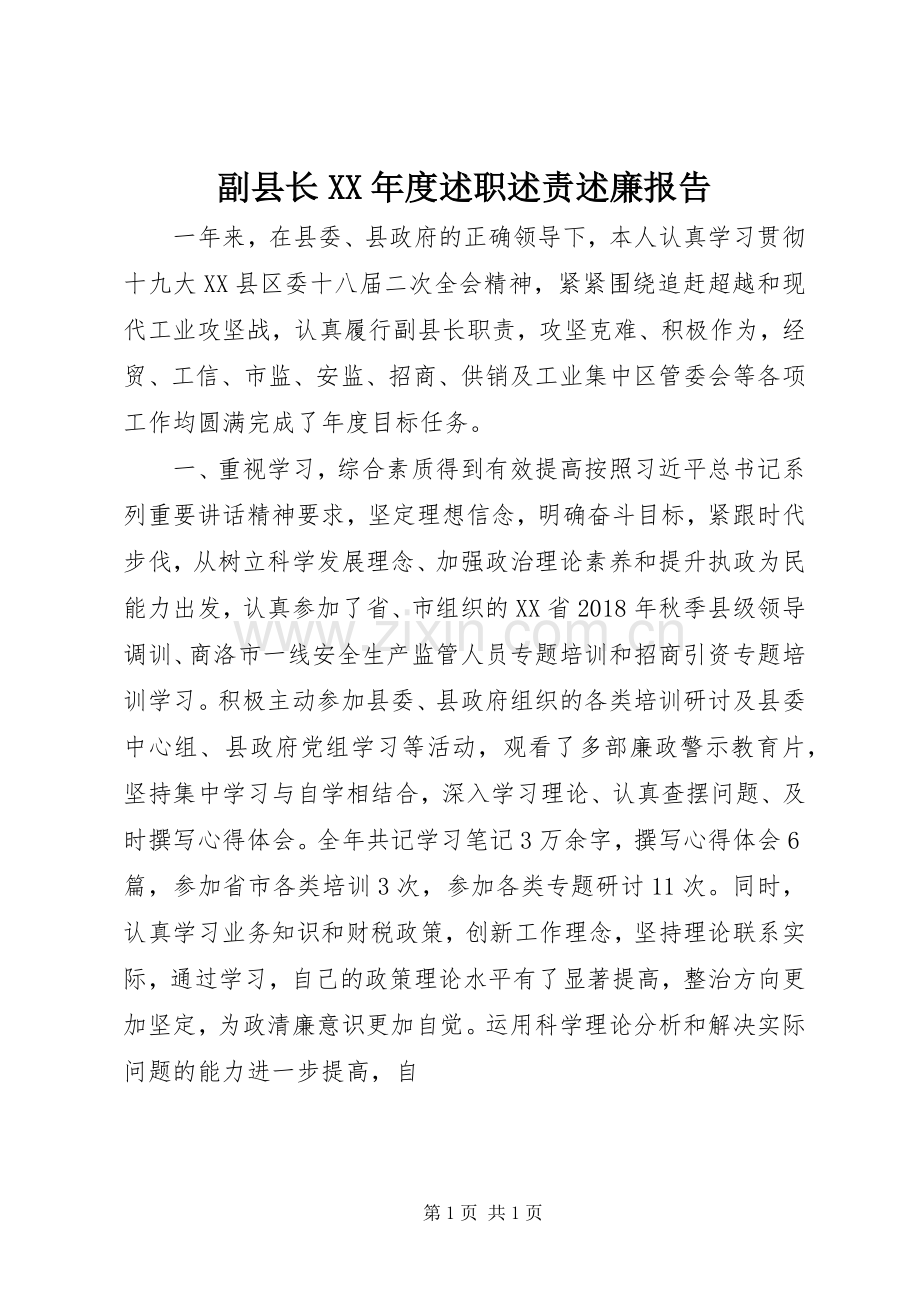 副县长XX年度述职述责述廉报告.docx_第1页