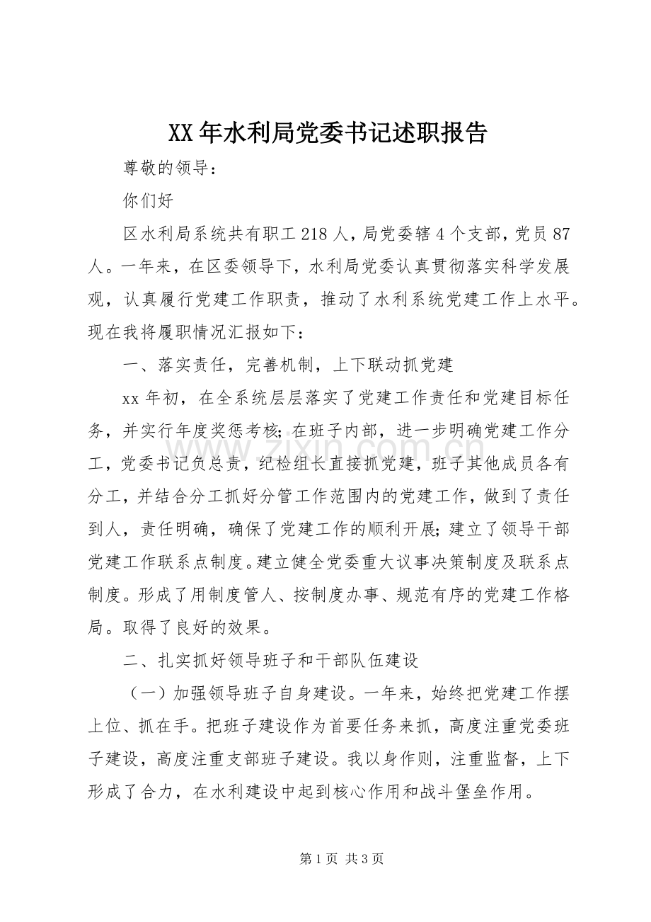 XX年水利局党委书记述职报告.docx_第1页