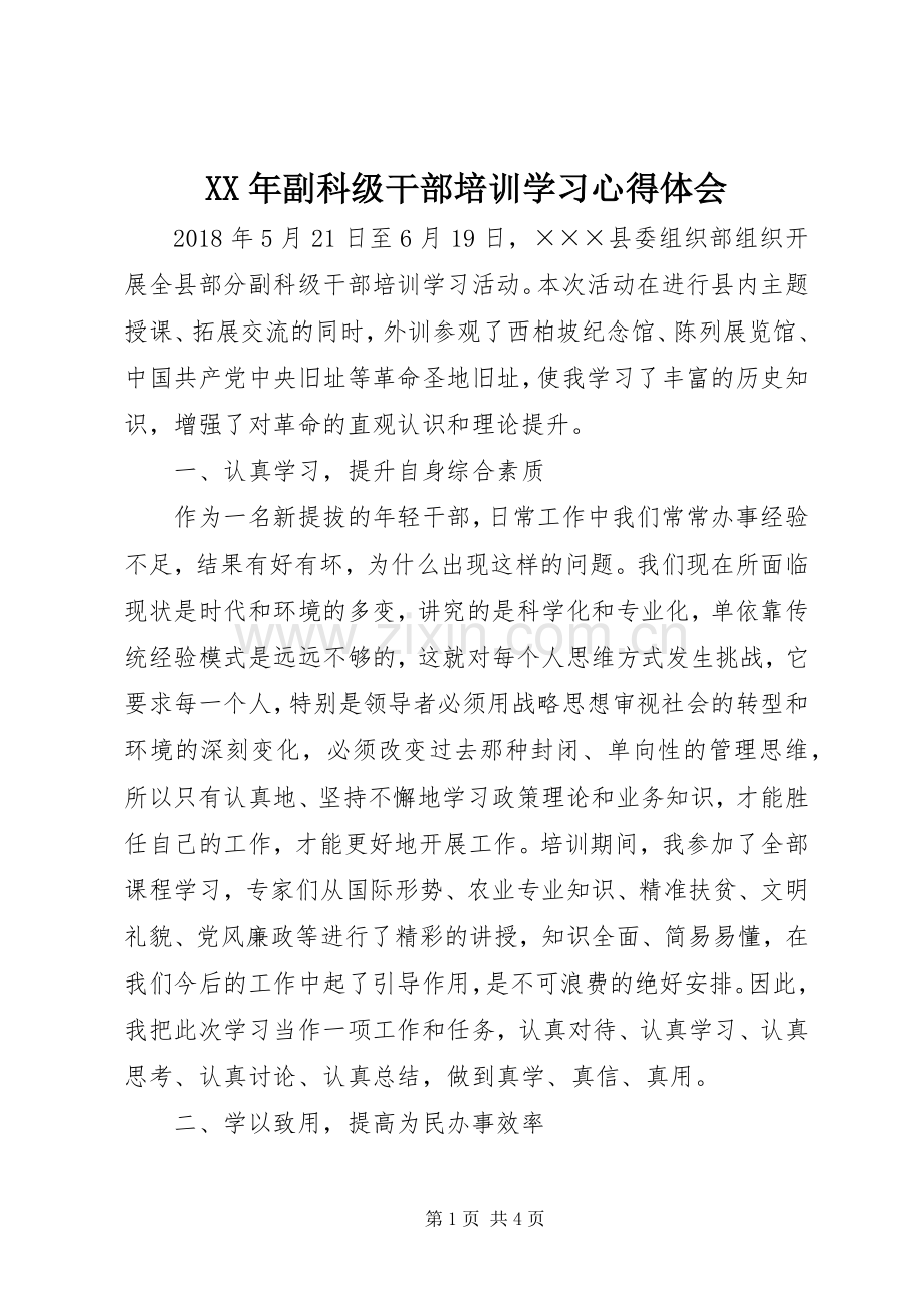 XX年副科级干部培训学习心得体会.docx_第1页