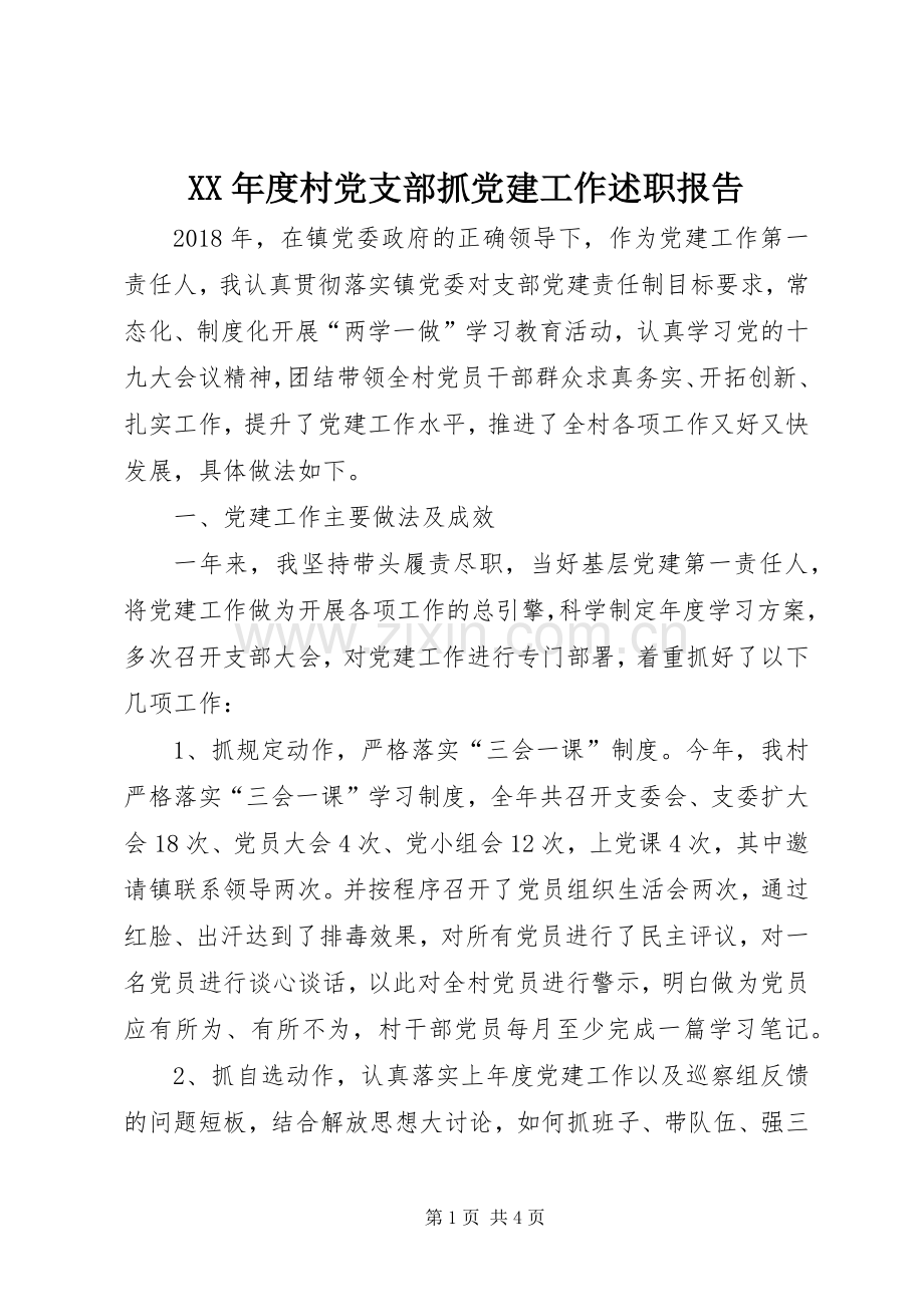 XX年度村党支部抓党建工作述职报告.docx_第1页