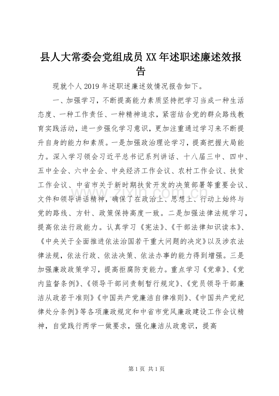 县人大常委会党组成员XX年述职述廉述效报告.docx_第1页