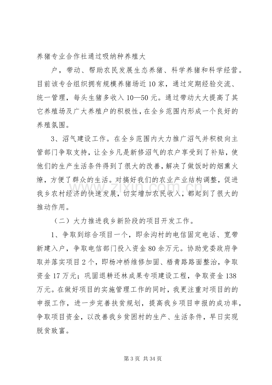 副乡长个人述职报告.docx_第3页