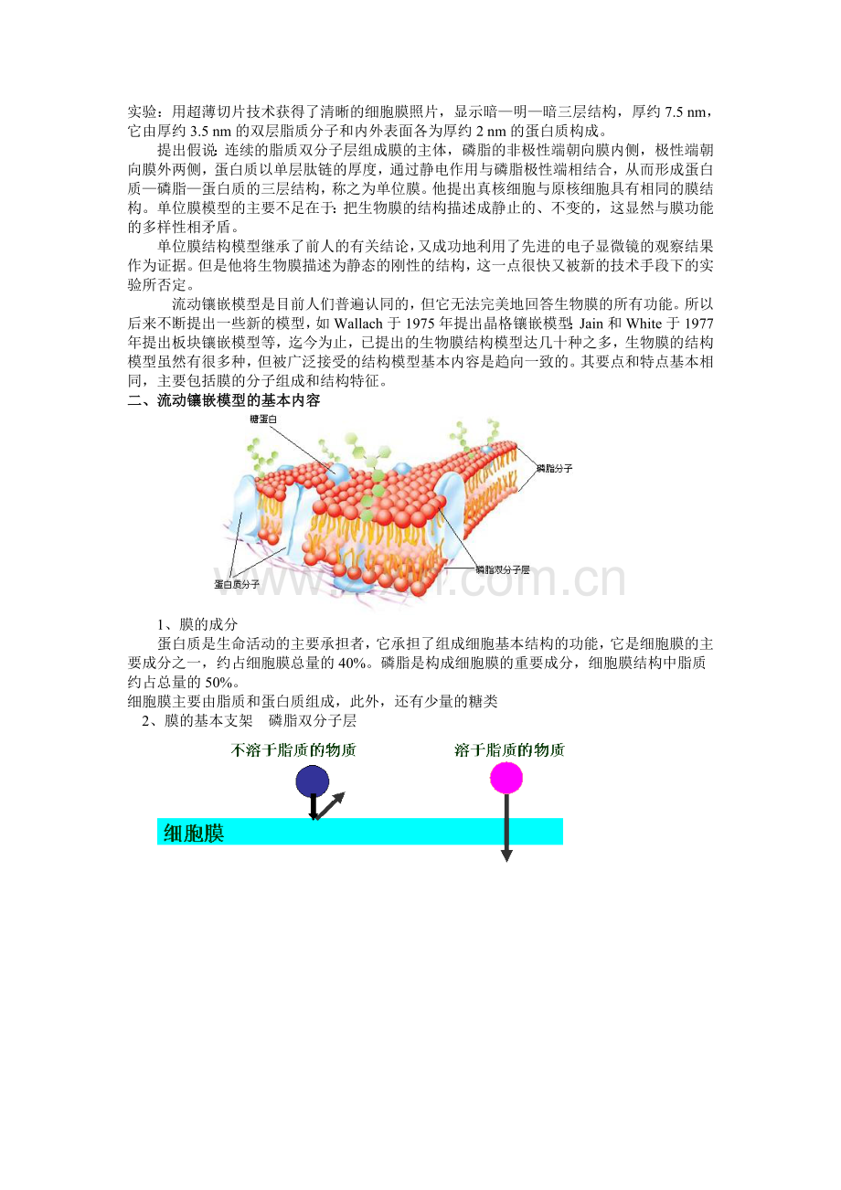 生物膜的流动镶嵌模型复习教案.doc_第3页