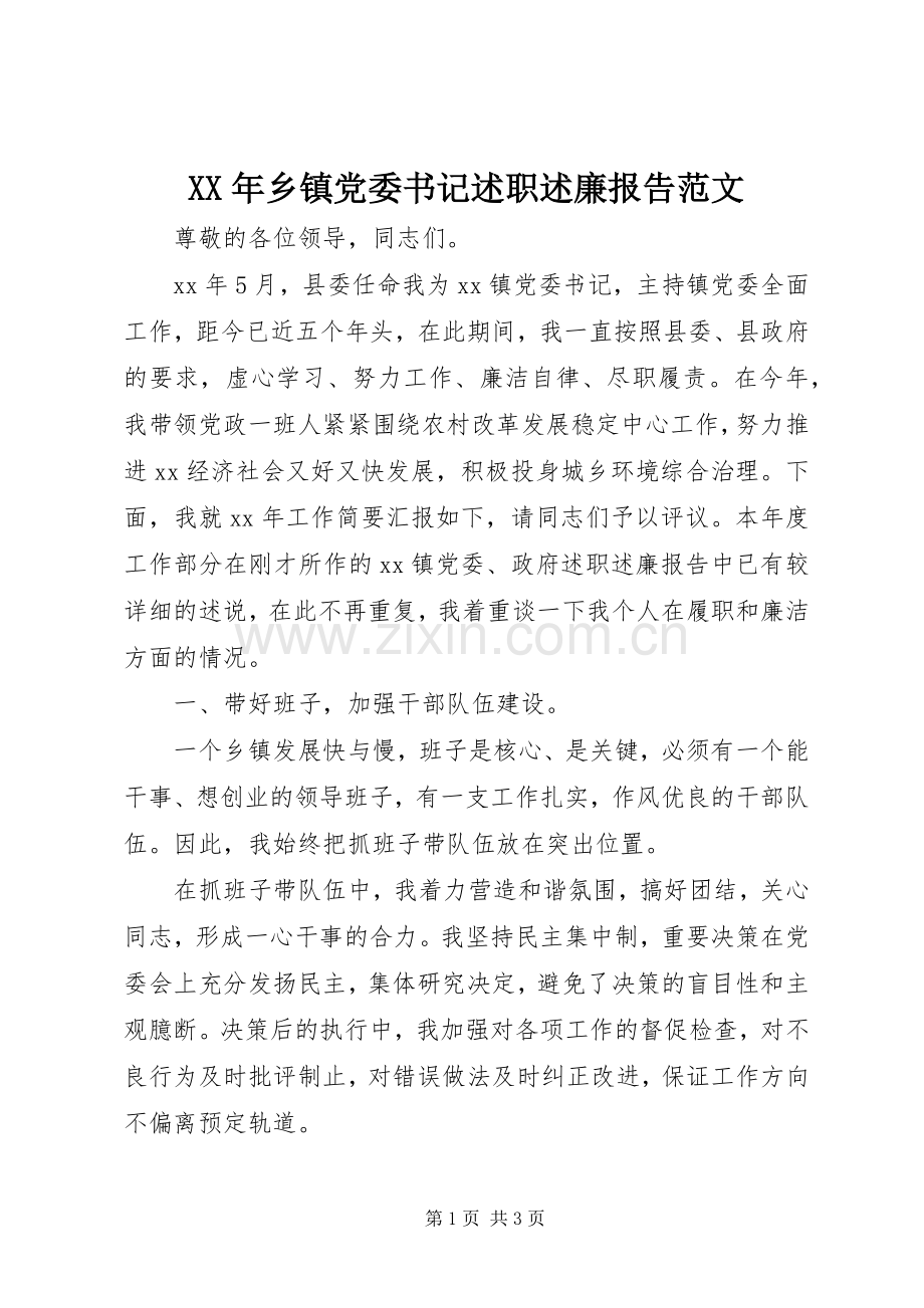 XX年乡镇党委书记述职述廉报告范文.docx_第1页