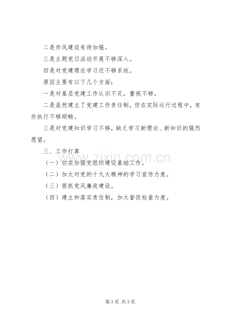 XX年党支部书记抓党建述职报告(通用).docx_第3页