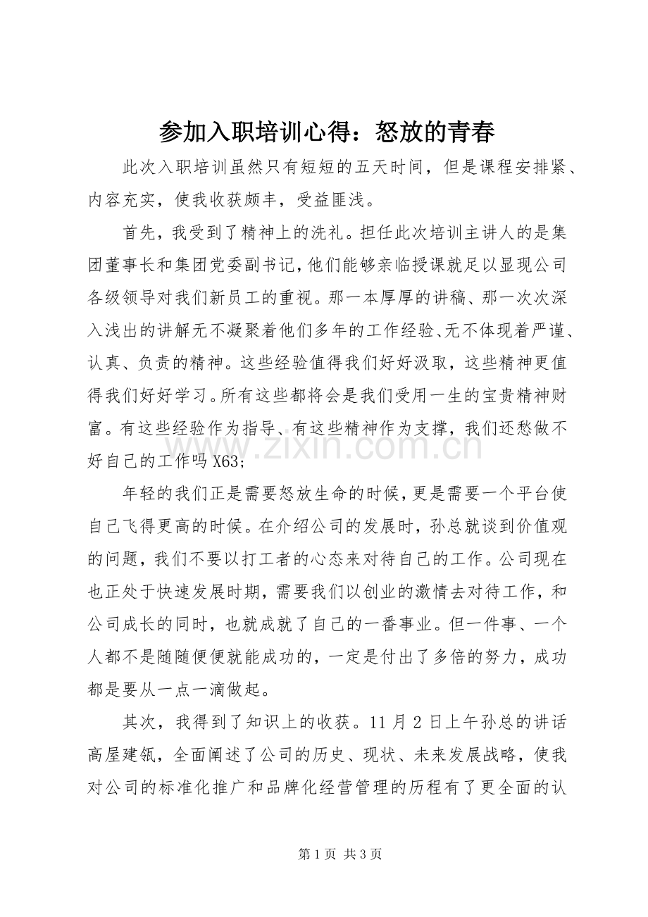 参加入职培训心得：怒放的青春.docx_第1页