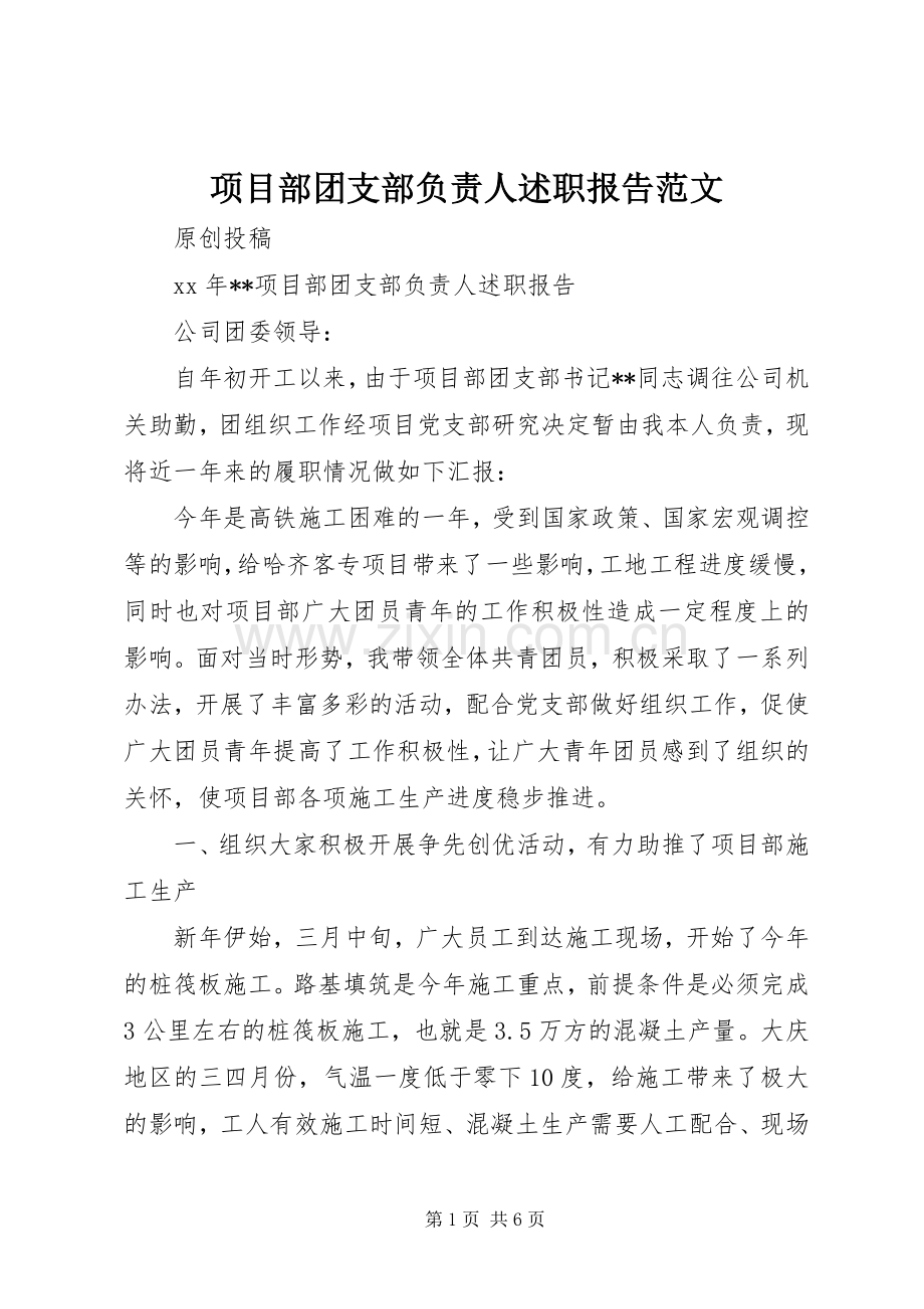 项目部团支部负责人述职报告范文.docx_第1页