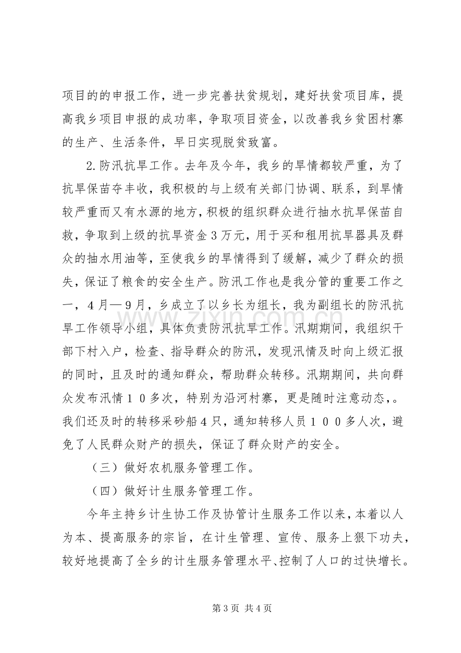 副乡长述职报告.docx_第3页