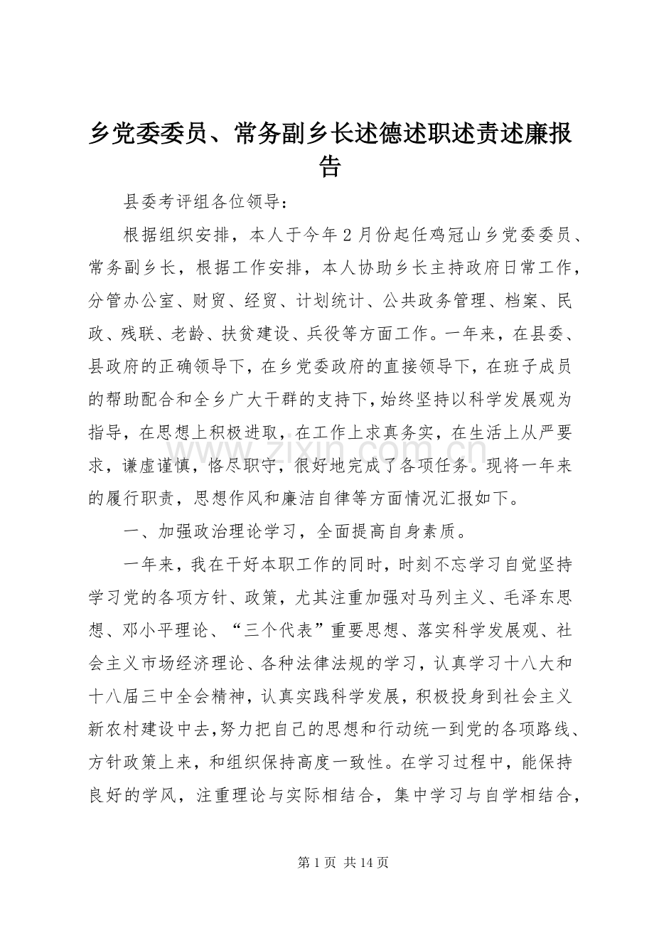 乡党委委员、常务副乡长述德述职述责述廉报告.docx_第1页