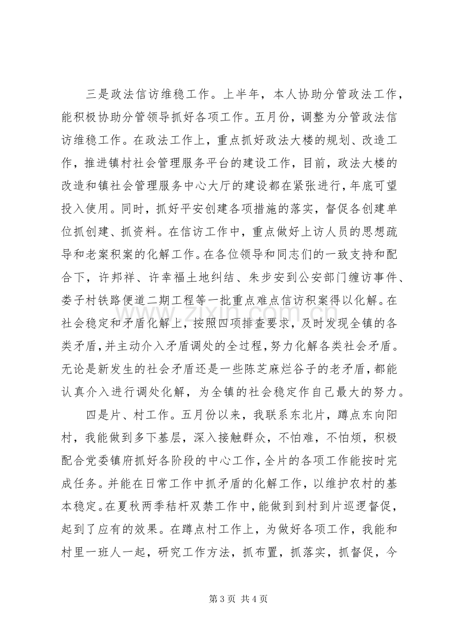 镇党委统战委员兼政法委书记个人述职报告.docx_第3页