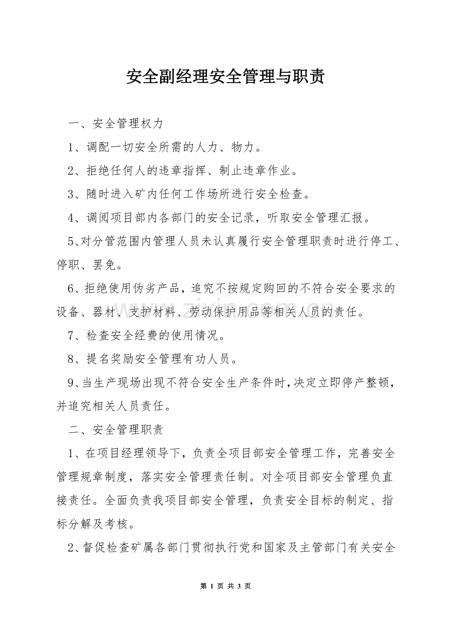 安全副经理安全管理与职责.docx_第1页