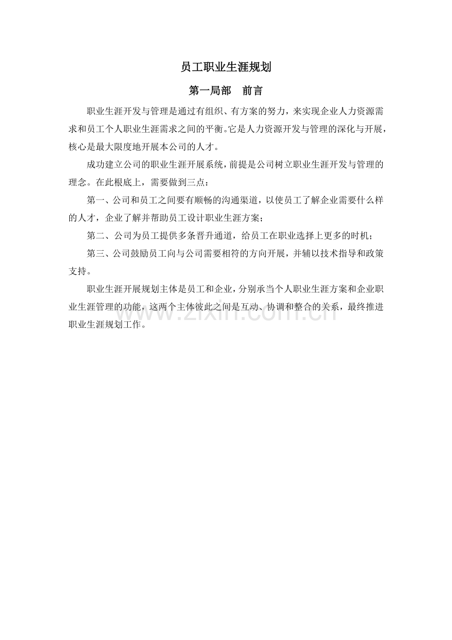 山东鲁能积成电子股份有限公司员工职业生涯设计).docx_第2页