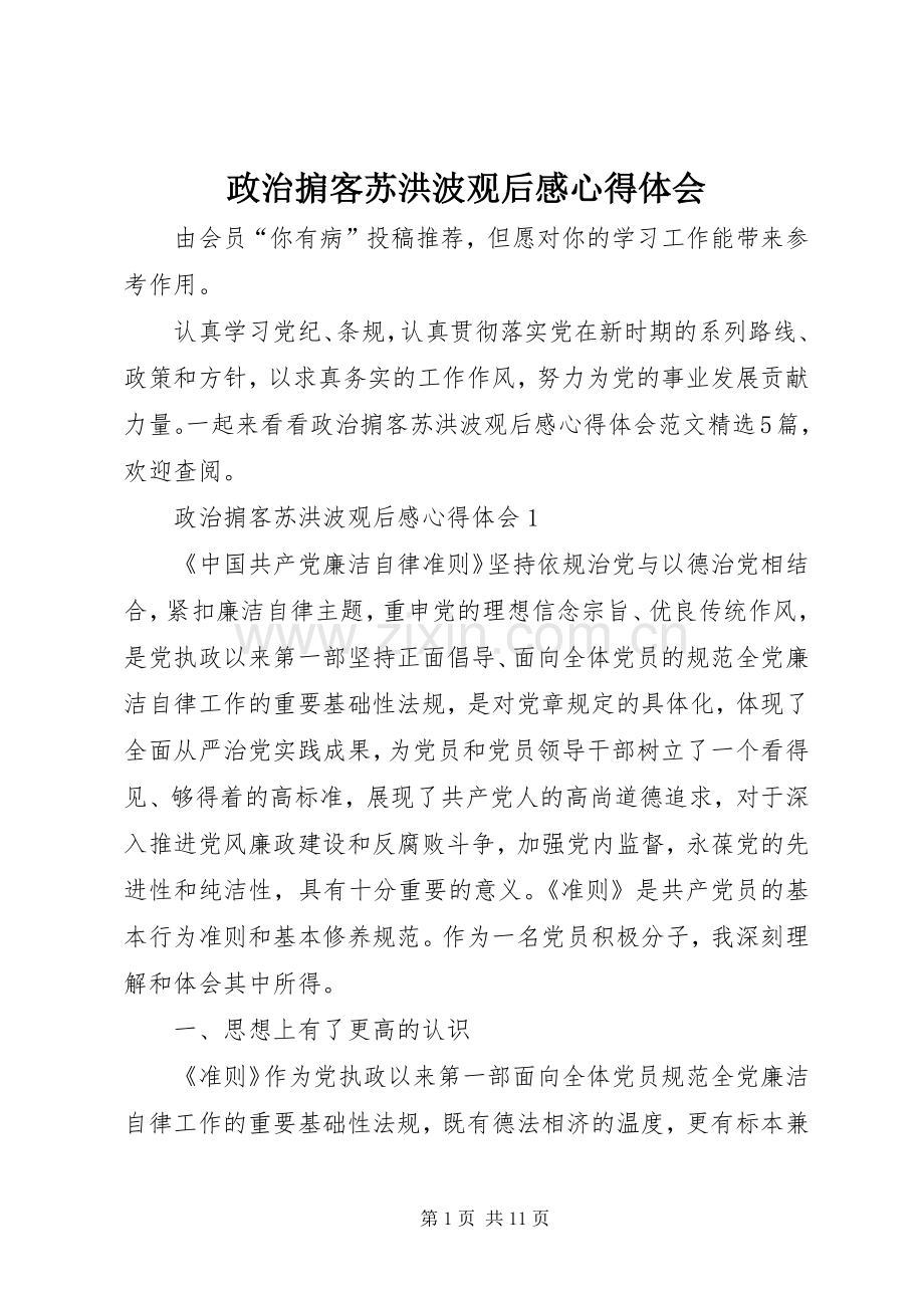 政治掮客苏洪波观后感心得体会.docx_第1页