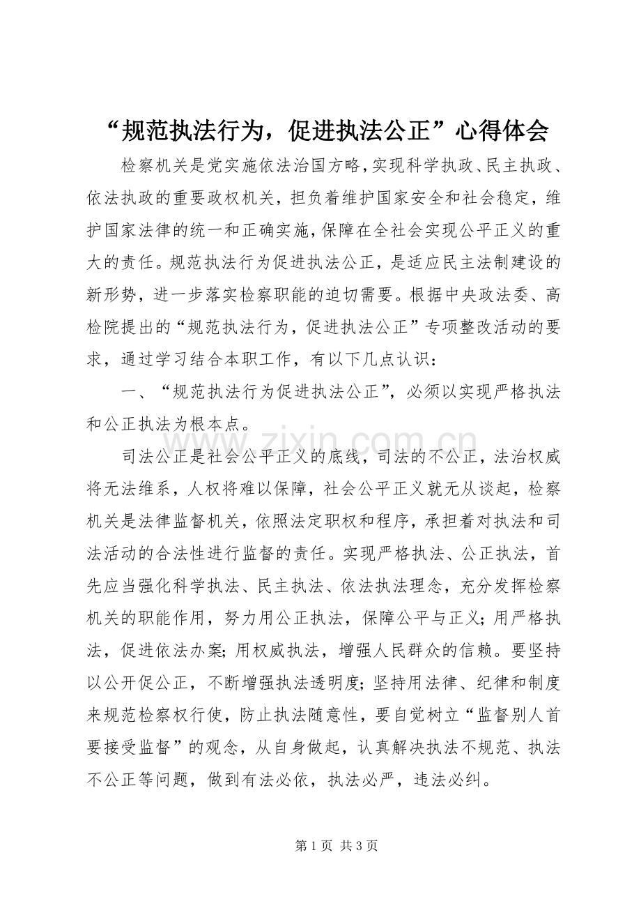 “规范执法行为促进执法公正”心得体会.docx_第1页