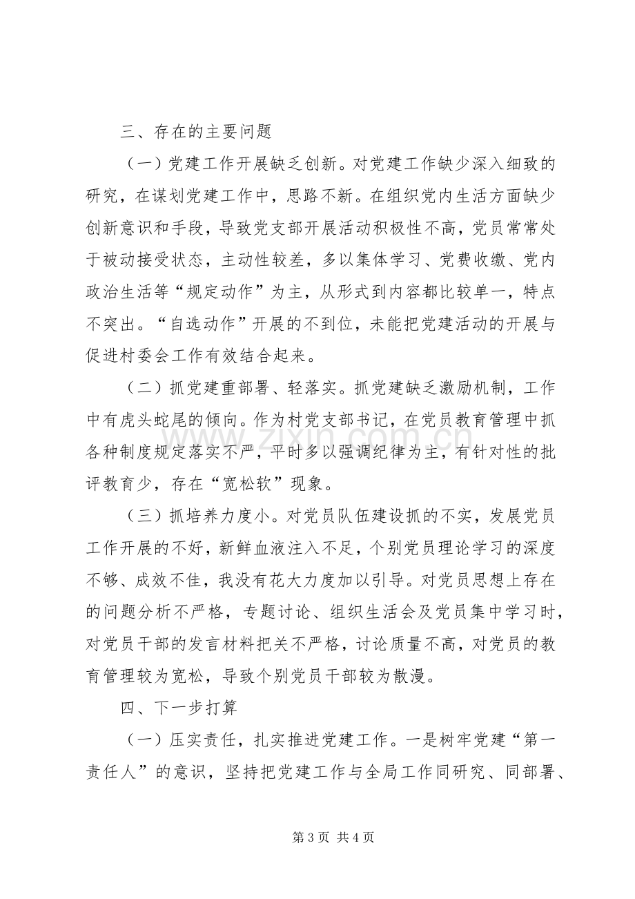 村党支部书记个人抓基层党建工作情况述职报告.docx_第3页