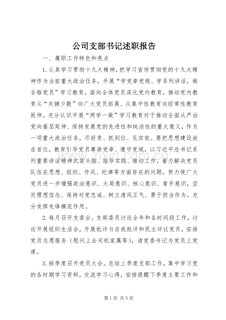 公司支部书记述职报告.docx_第1页