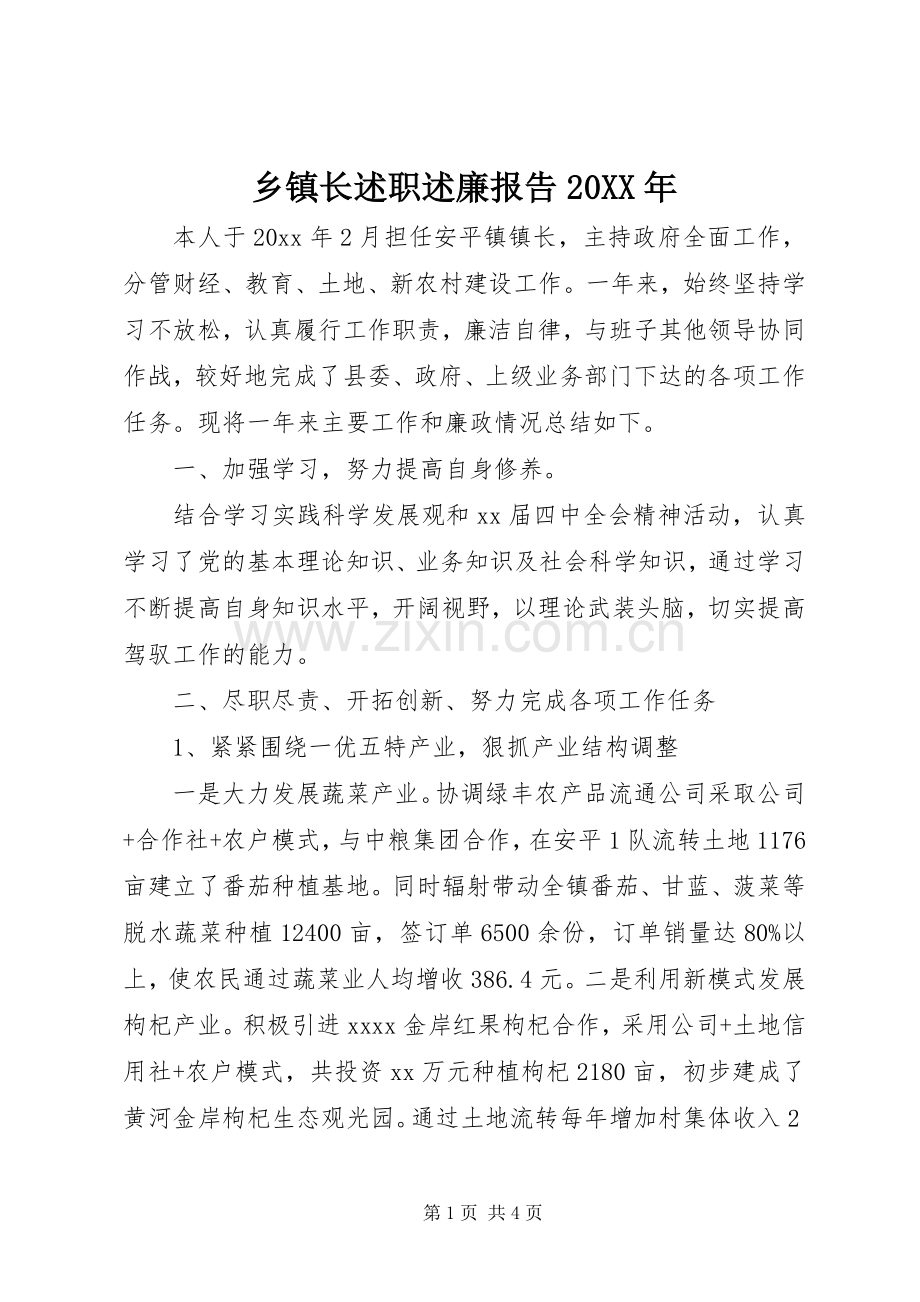 乡镇长述职述廉报告20XX年.docx_第1页