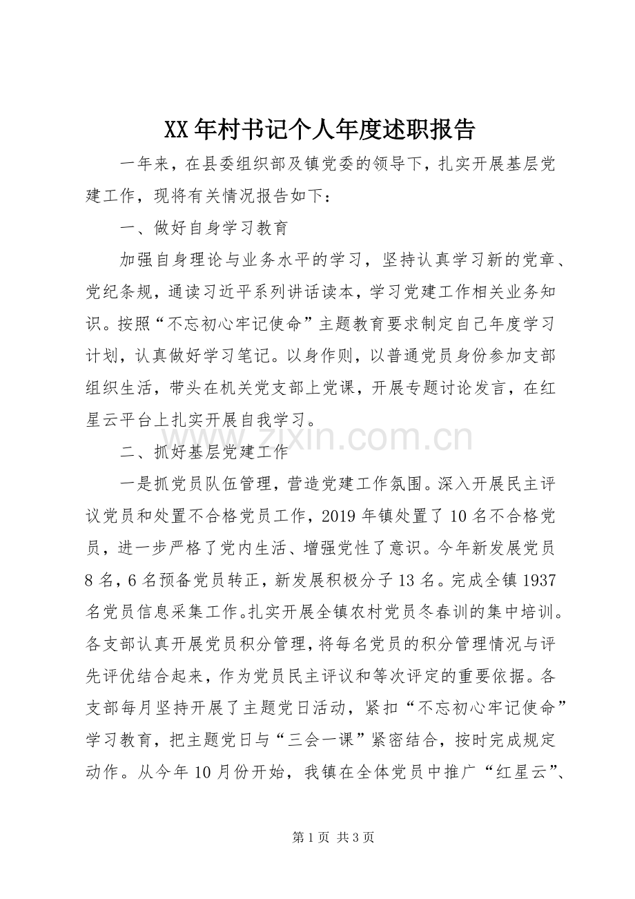 XX年村书记个人年度述职报告.docx_第1页