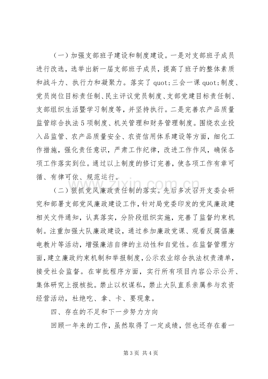 农业综合执法支队队长个人述职报告.docx_第3页