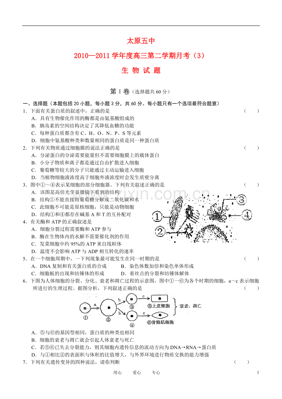 山西省太原五中2011届高三生物3月月考试题(无答案).doc_第1页