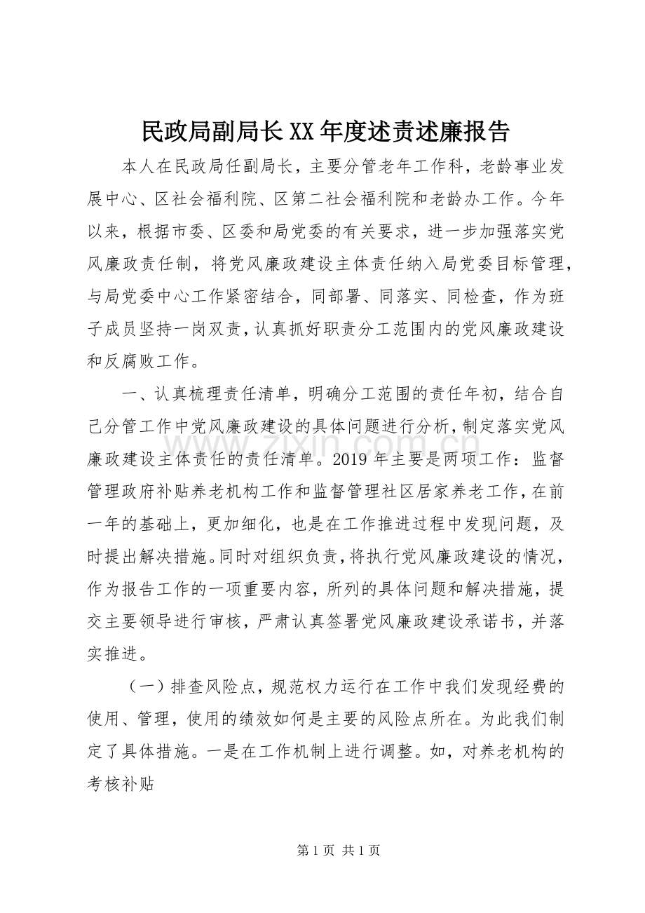 民政局副局长XX年度述责述廉报告.docx_第1页