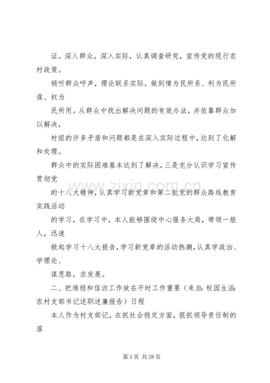 农村支部书记述职述廉报告.docx_第3页