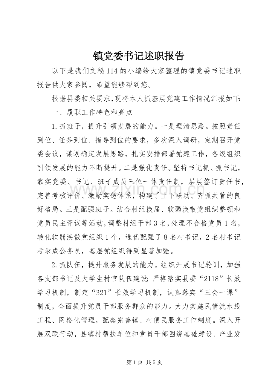 镇党委书记述职报告 (48).docx_第1页