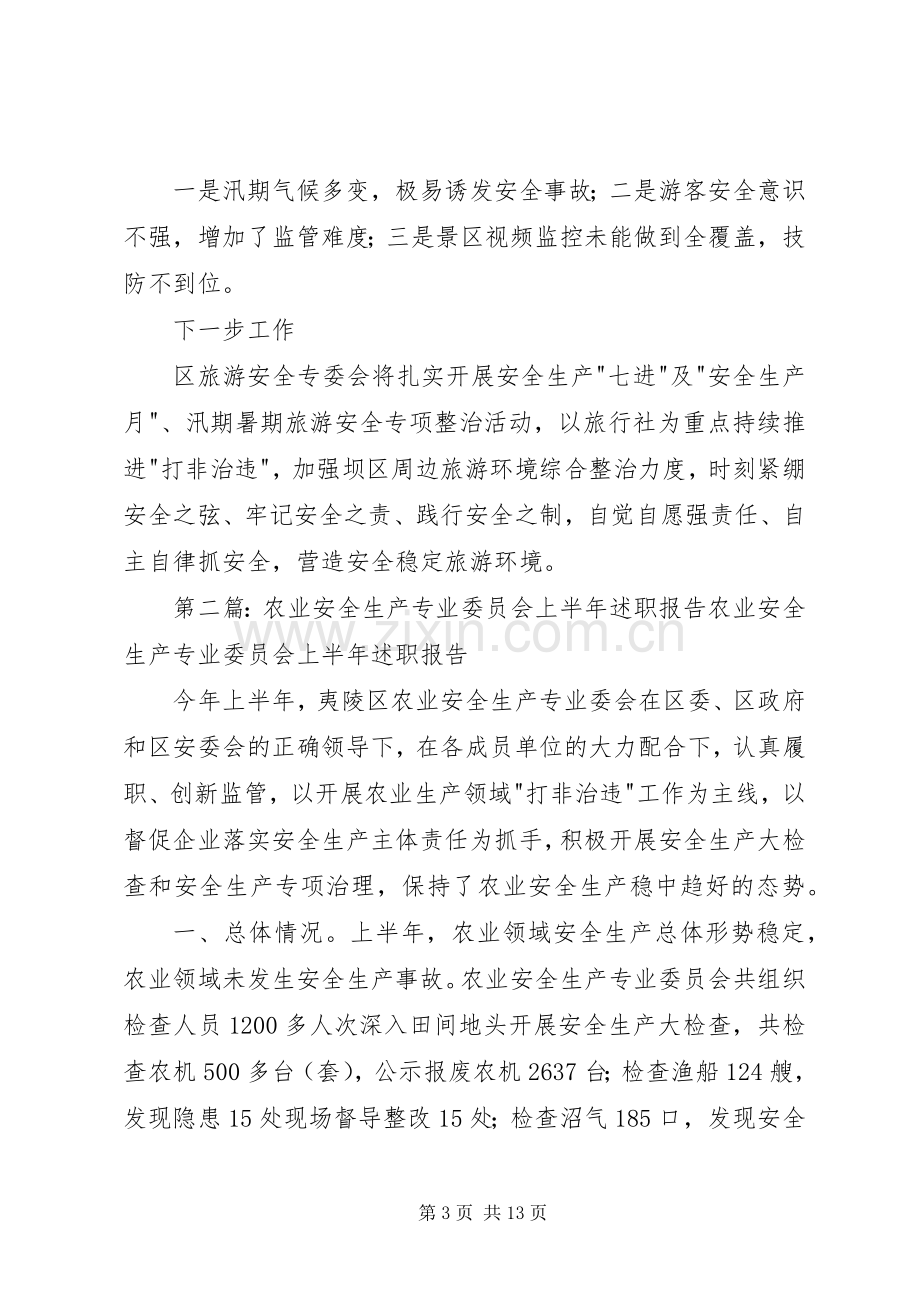 旅游安全生产专业委员会上半年述职报告.docx_第3页