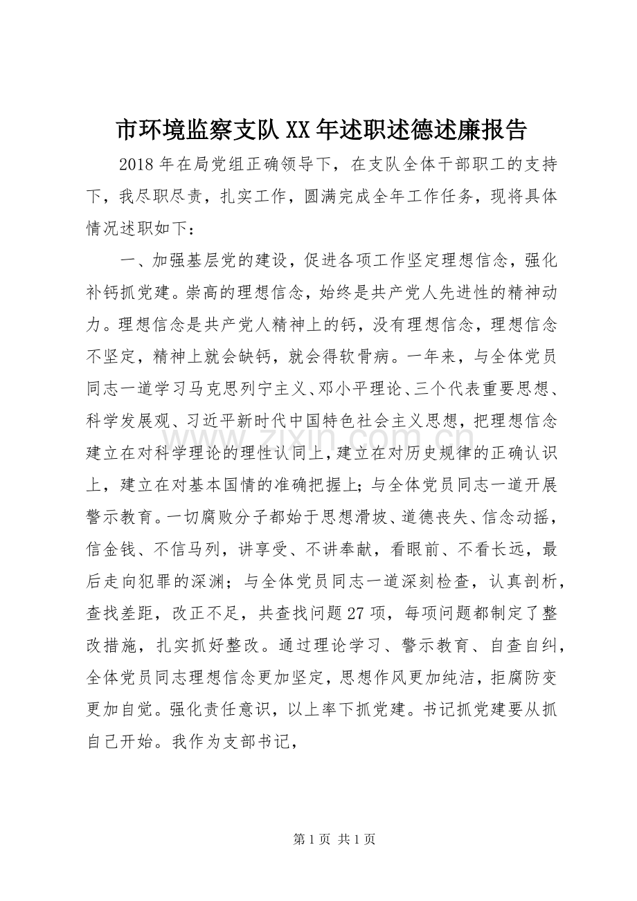 市环境监察支队XX年述职述德述廉报告.docx_第1页