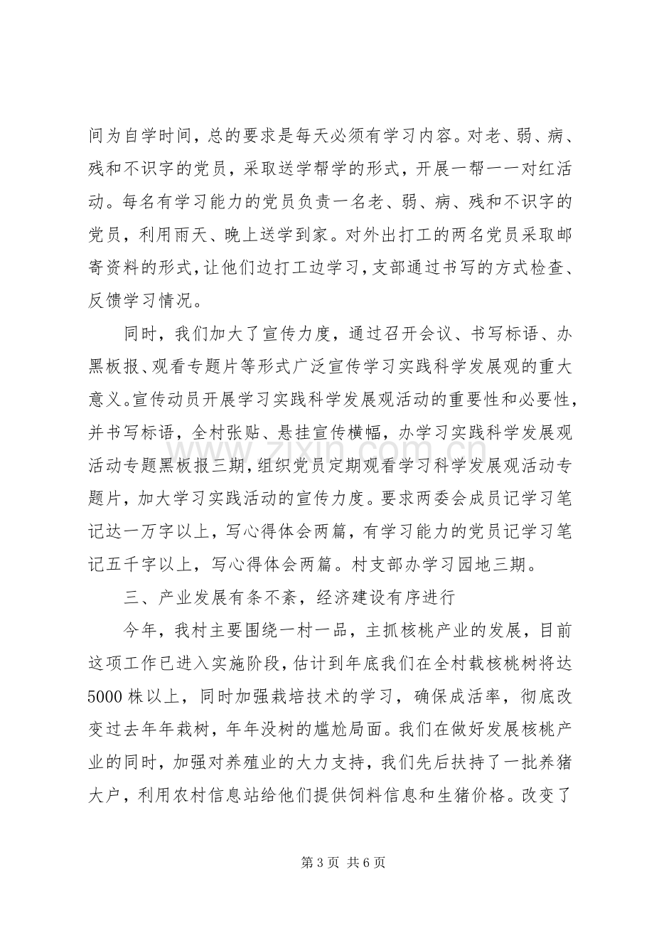 农村党书记述职报告范文.docx_第3页